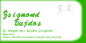 zsigmond bujdos business card